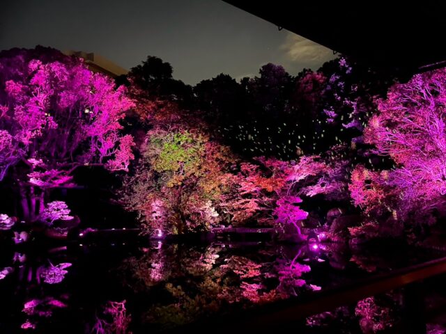 今夜は、今年最大のスーパームーン。
空を見上げるだけで、秋の深まりを感じる特別な夜ですね。
友泉亭公園では、春・夏・秋・冬をテーマにした
プロジェクションマッピングイベント「もみじの宴」を開催中です。
静かな夜のひとときを、
ぜひ友泉亭公園でお過ごしください。
▼イベント概要
友泉亭公園 プロジェクションマッピング「もみじの宴」
春夏秋冬2025 〜庭園を舞う七つの音色〜
・期間:2025年10月5日(日)〜11月24日(月・祝)
・時間:18:00〜21:00(開催期間中は無休)
・料金:大人1,000円/中高生700円/小学生500円/幼児無料(すべて税込・入園料込)
・場所:友泉亭公園(福岡市城南区友泉亭1-46)
静寂の庭園に光と音が舞う、秋の夜のひとときをお楽しみください。
================
Projection Mapping at Yusentei Park — “Momiji no Utage”
Four Seasons 2025: Seven Melodies Dancing in the Garden
・Dates: October 5 – November 24, 2025
・Time: 6:00 PM – 9:00 PM (Open daily during the event)
・Tickets (available at the entrance):
-Adults: ¥1,000
-Junior high & high school students: ¥700
-Elementary school students: ¥500
-Preschool children: Free
・Venue: Yusentei Park(1-46 Yusentei, Jonan-ku, Fukuoka City, Japan)
Experience a magical autumn night surrounded by lights, music, and the timeless beauty of a Japanese garden.
#もみじの宴 #友泉亭公園 #プロジェクションマッピング #福岡イベント #福岡観光 #秋の夜長 #紅葉ライトアップ #夜の庭園 #YusenteiPark #ProjectionMapping