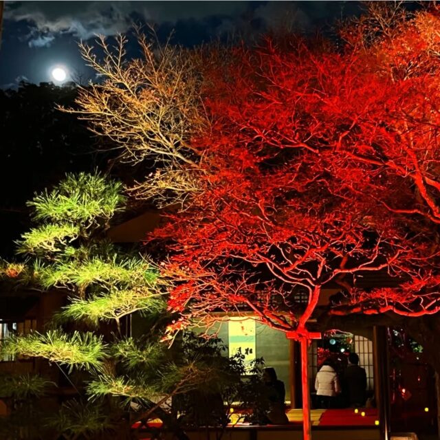 夜間開園 ✨️紅葉ライトアップ✨️
只今開催中!!2日限りのライトアップ
日本庭園でゆっくりと癒してみませんか
すごくきれいですよ✨️
まだまにあいます!
今日までの開催です!
2025年12月6(土)7日(日)
時間18時〜21時
入園料500円
松風園
福岡市中央区平尾3.28
092-524-8264
#日本庭園
#松風園
#夜間開園
#福岡市
#ライトアップ
#喫茶
#抹茶
#デートスポット
#穴場