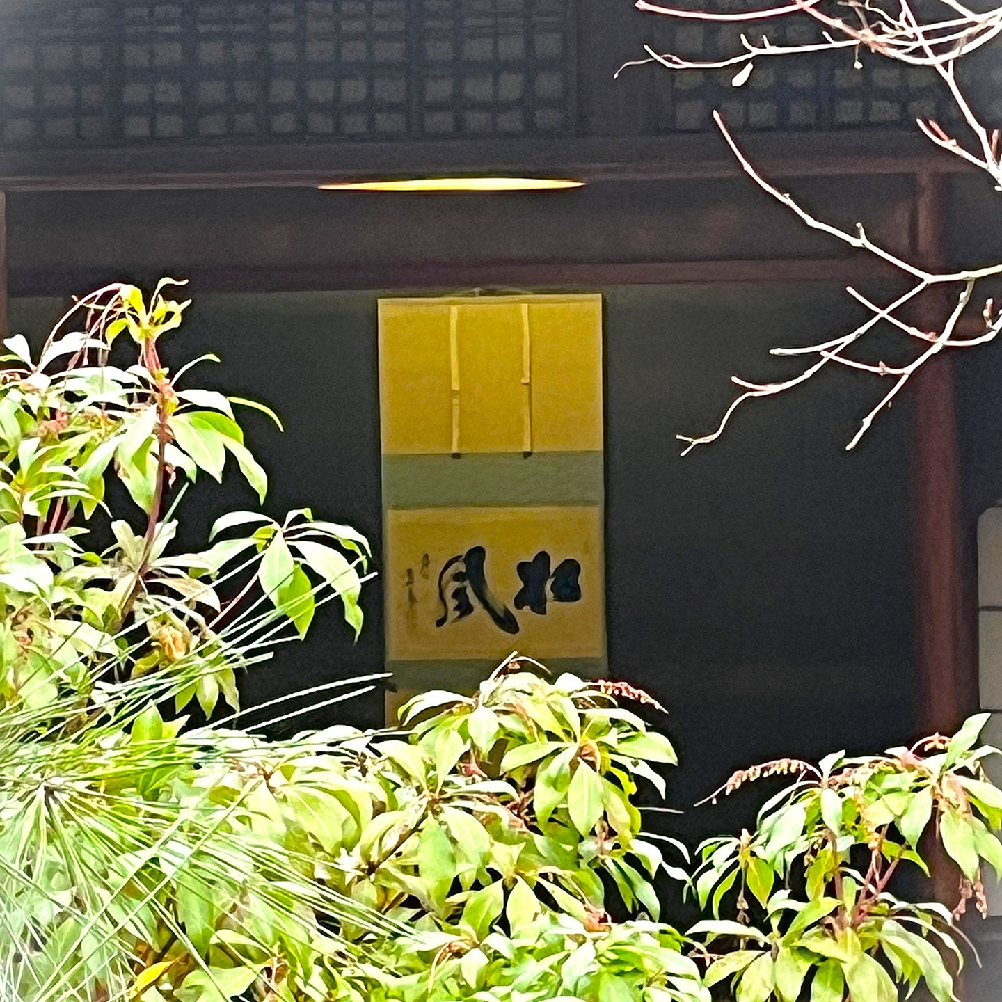 松風園より~感謝を込めて~
たくさんの皆さまに足をお運びいただきまして、誠にありがとうございました。
四季折々の景色を多くのお客さまと共に分かち合えたこと大変嬉しく思っております。
来年もこころ静かにお過ごしいただける庭園であり続けられるよう、努めて参ります。
どうぞ変わらぬご愛顧を賜りますようお願い申し上げます。
どうぞ良いお年をお迎えくださいませ
なお、2026年は1月2日(金)から開園致しております。
お近くにお越しの際はふらりとお立ち寄り頂けると嬉しいです。
喫茶お抹茶セットなどございます。
ご来園お待ちしております。
#日本庭園
#福岡市
#おすすめ
#喫茶
#癒しの時間
#抹茶
#松風園
#福岡観光
#帰省
#散歩
#休憩