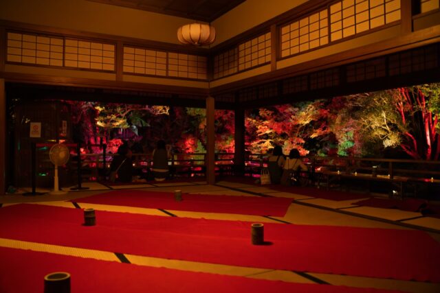 友泉亭公園プロジェクションマッピング「もみじの宴」開催中です✨
池に面した17.5畳の大広間は、格式を重んじる武家文化を背景にした書院造り。
静かな庭園の中に佇むこの空間から眺めるプロジェクションマッピングは、光と影が水面に映り込み、まるで庭園全体がひとつの舞台のよう。
ご来園されたことのある方には、いつもとは違う夜の表情を。
初めて訪れる方には、プロジェクションマッピングとともに、歴史ある庭園の趣もお楽しみいただけます。
夜の友泉亭ならではの、特別な秋の景色をぜひご覧ください。
▼イベント概要
友泉亭公園 プロジェクションマッピング「もみじの宴」
春夏秋冬2025 〜庭園を舞う七つの音色〜
・期間:2025年10月5日(日)〜11月24日(月・祝)
・時間:18:00〜21:00(開催期間中は無休)
・料金:大人1,000円/中高生700円/小学生500円/幼児無料(すべて税込・入園料込)
・場所:友泉亭公園(福岡市城南区友泉亭1-46)
静寂の庭園に光と音が舞う、秋の夜のひとときをお楽しみください。
================
Projection Mapping at Yusentei Park — “Momiji no Utage”
Four Seasons 2025: Seven Melodies Dancing in the Garden
・Dates: October 5 – November 24, 2025
・Time: 6:00 PM – 9:00 PM (Open daily during the event)
・Tickets (available at the entrance):
-Adults: ¥1,000
-Junior high & high school students: ¥700
-Elementary school students: ¥500
-Preschool children: Free
・Venue: Yusentei Park(1-46 Yusentei, Jonan-ku, Fukuoka City, Japan)
Experience a magical autumn night surrounded by lights, music, and the timeless beauty of a Japanese garden.
#もみじの宴 #友泉亭公園 #プロジェクションマッピング #福岡イベント #福岡観光 #秋の夜長 #紅葉ライトアップ #夜の庭園 #YusenteiPark #ProjectionMapping #鯉 #友泉亭