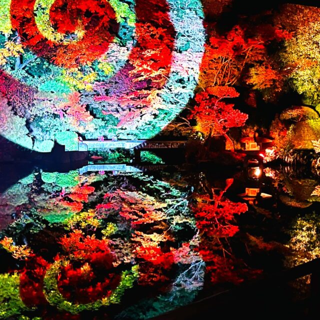 ✨プロジェクションマッピング✨
福岡友泉亭公園
🍁もみじの宴🍁
春夏秋冬2025
~庭園を舞う七つの音色~
・開催期間
2025年10月5(日)~12月14日(日)
(開催期間中は無休)
・時間
18時~21時
・料金
大人1000円 中高生700円
小学生500円 (幼児無料)
(税込/入園料込み)
会場:友泉亭公園
福岡市城南区友泉亭公園1-46
※安全にご観覧頂く為に入場を制限する場合があります。
#プロジェクションマッピング
#福岡観光
#福岡市
#紅葉スポット
#紅葉狩り
#日本庭園
#映え
#綺麗
#感動
#癒しの時間
#デートコース
#夜景