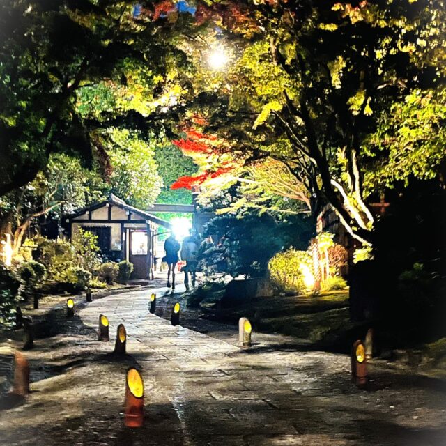 友泉亭公園にまだ行ったことのないという方、この✨プロジェクションマッピング✨を機会にふらりと足を運んでみませんか。日本庭園が美しく輝く瞬間を光景をお楽しみ頂けます。
夜は冷えますので、あたたかくしてお越しくださいね。
お待ちしております。
・開催期間
2025年10月5日(日)~12月14日(日)
・時間
18時~21時
・料金
大人1000円 中高生700円
小学生500円 幼児無料
(税込/入園料込み)
会場:友泉亭公園
福岡市城南区友泉亭公園1-46
※安全にご観覧頂く為に入場を制限する場合があります。
#日本庭園#紅葉スポット#インスタ
#九州 #福岡市#福岡県#紅葉スポット#おでかけ #福岡観光デートスポット#家族サービス #庭園 #癒し
・