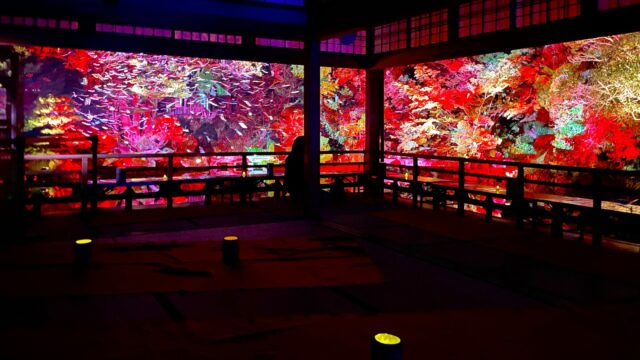 友泉亭公園のプロジェクションマッピング只今期間延長につき開催中です!
広間から見る光景は写真でも、きれいですけど、実際に見る景色はまったく違う世界です。
【開催期間】
2025年10月5日~12月14日
開催期間中は無休
・時間:18時~21時
・料金:大人1000円 中高生700円
小学生500円 幼児無料
(税込/入園料込み)
・会場:友泉亭公園
福岡市城南区友泉亭公園1-46
※安全にご観覧頂く為に入場を制限する場合があります。
夜は冷えますので、あたたかくしてご来園下さい。
#日本庭園 #紅葉スポット #プロジェクションマッピング#福岡市#インスタ #紅葉スポット #写真スポット #九州#感動