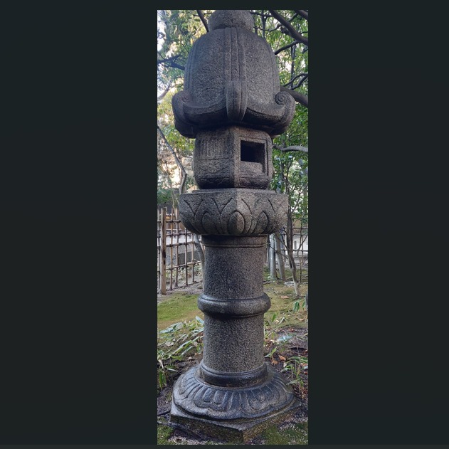 *
「楽水園の石灯籠（いしどうろう）」

灯籠ってそもそも何なの？って思っていました。

奈良時代から用いられてる照明だそうです。
　
しかし、現代では照明としての機能だけではなく、日本庭園の装飾としても用いれられるようになりました。

石灯籠には色々な種類があるそうです。

今日は楽水園にある灯篭の一つをご紹介いたします。
画像は、利久形灯籠といわれものです。

千利休が考案したものといわれ、高さが３ｍ近くあり、笠が幅に比べて高いという特徴があります。

是非ご来園お待ちしております。

…楽水園より

#楽水園
#rakusuien
#福岡観光
#日本庭園
#JapaneseGarden
#茶室
#都会のオアシス
#博多
#住吉