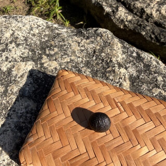 【香司つる子先生のお香教室】
　　　（4回連続講座）

香司つる子先生のお香教室が無事終了ました。
本日、今期のお香教室が無事に終了しました。
ご参加いただいた皆さま、本当にありがとうございました！
昨年秋に始まった４回連続の講座は、塗香作りからはじまり、今回の練香まで、緑豊かな茶庭を眺めながら、ゆったりとした時間の中で行われました。
作業中は先生から香りの持つ効用や、様々なお香の形の話を聞き日本の香り
について学んでいただきました。
出来上がった皆さんの練香です。
それぞれに個性がありますね！
これからもご自身で作られた香りを生活の中に活かしていただければと思います。
ご参加の皆さまから、楽しかった、また参加したいと嬉しいお言葉も頂戴いたしました。
来期も庭園の緑が美しい初夏からお香教室を開催できればと考えております。
開始のご案内は当園のホームページと市政だよりで致します。
皆さまのご参加をお待ち致しております。
#松風園
#日本庭園 
#伝統文化 
#体験 
#香 
#練香
#手作り
#福岡市 
#fukuoka 
#庭園 
#楽しい時間