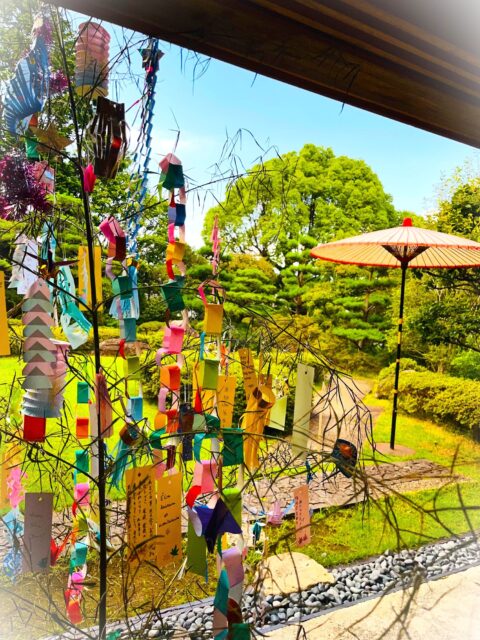 『七夕』
七夕が過ぎ、本格的に夏の訪れを感じる季節となりました。
園庭では、緑がいっそう鮮やかになり、夏ならではの涼やかな風情を
感じさせてくれています。
七夕は、一年に一度の願いごとを託す特別な日です。
ご来園の皆様よりいただいた短冊には、それぞれの願いや想いが込められ
温かな七夕飾りとなりました。
本当にありがとうございました。
皆さまの願いが夜空に届きますように…
これから夏本番!暑い日が続きますので、どうぞお身体をお気をつけてお過ごし下さい。
松風園より
#松風園
#shofuen
#福岡
#日本庭園
#JapaneseGarden
#茶室