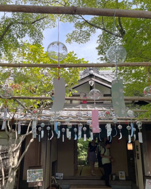 “友泉亭公園風鈴通り”
友泉亭公園では、「風鈴通」を8/1~8/31まで開催しています。
浴衣の来園者は抹茶セット(コーヒーセット)無料サービスしております。
酷暑の中、木々に囲まれた庭園で池の鯉を眺めながら、癒されにきませんか。
スタッフ一同。お待ちしております。
…友泉亭公園より
#友泉亭
#友泉亭公園
#yusentei
#福岡
#日本庭園
#JapaneseGarden
#茶室