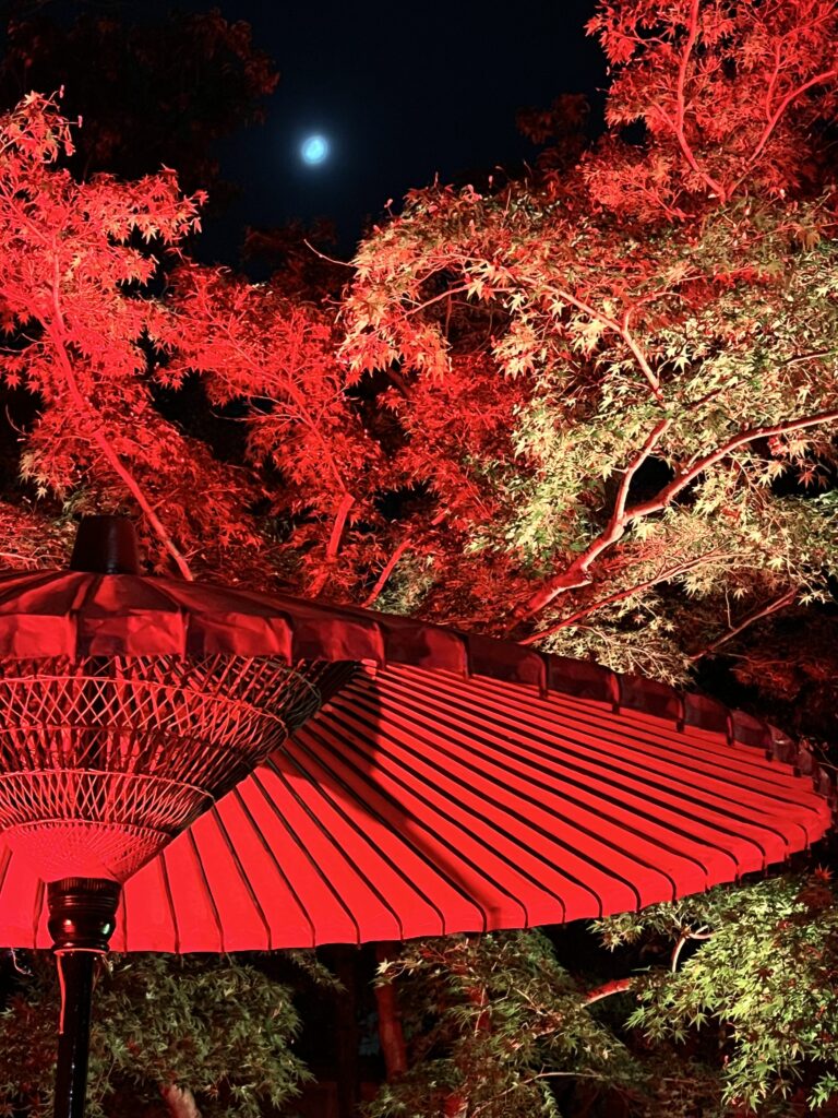 ✨プロジェクションマッピング✨開催延期決定‼12/14（日）まで開催です。